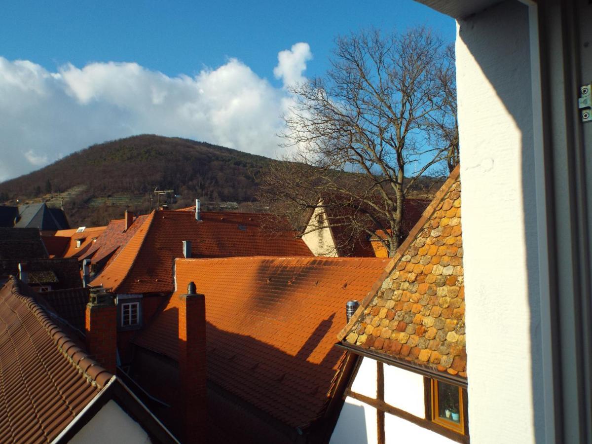 Ferienwohnung Mittendrin Neustadt an der Weinstrasse Luaran gambar